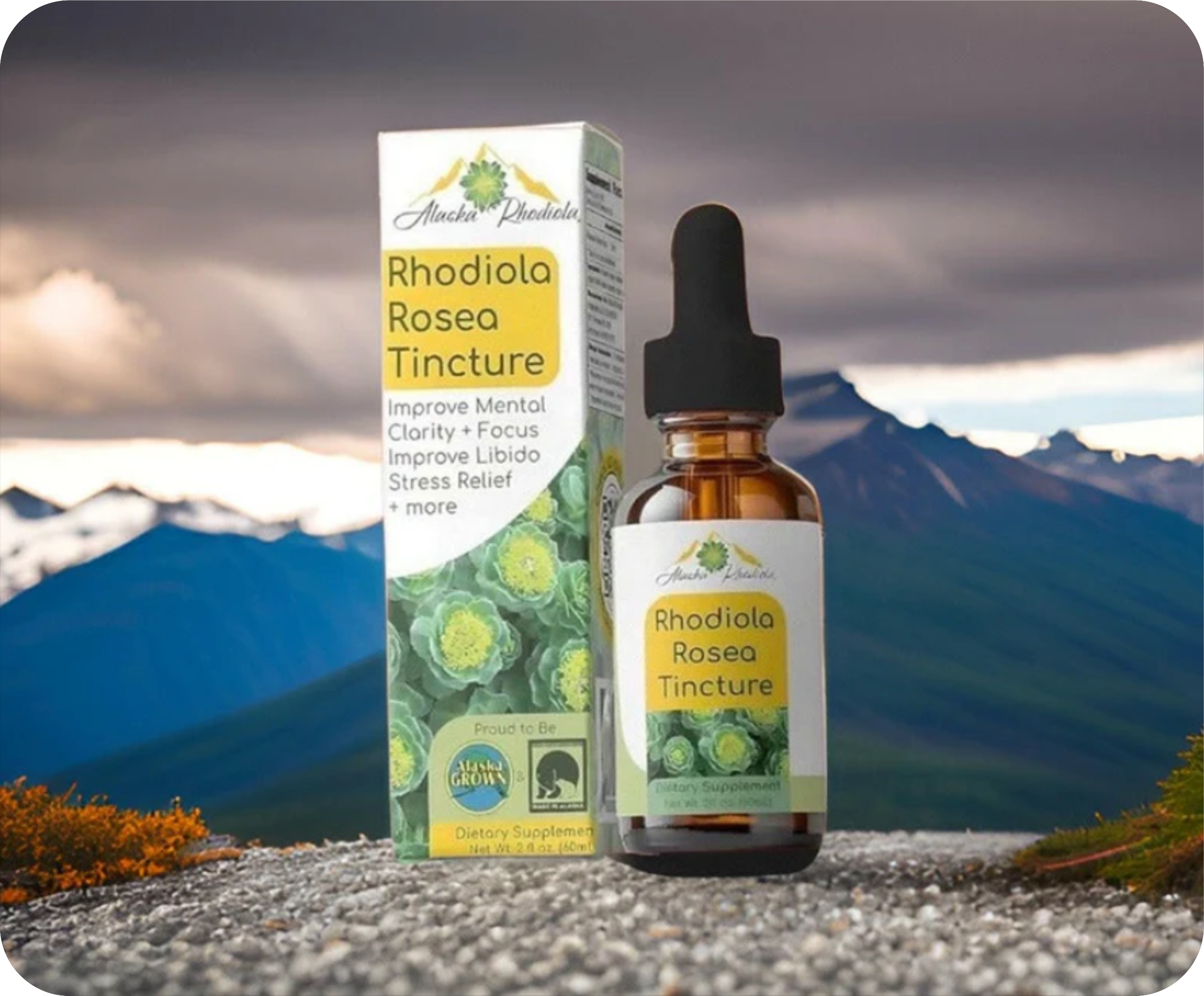 Wellness / Energy