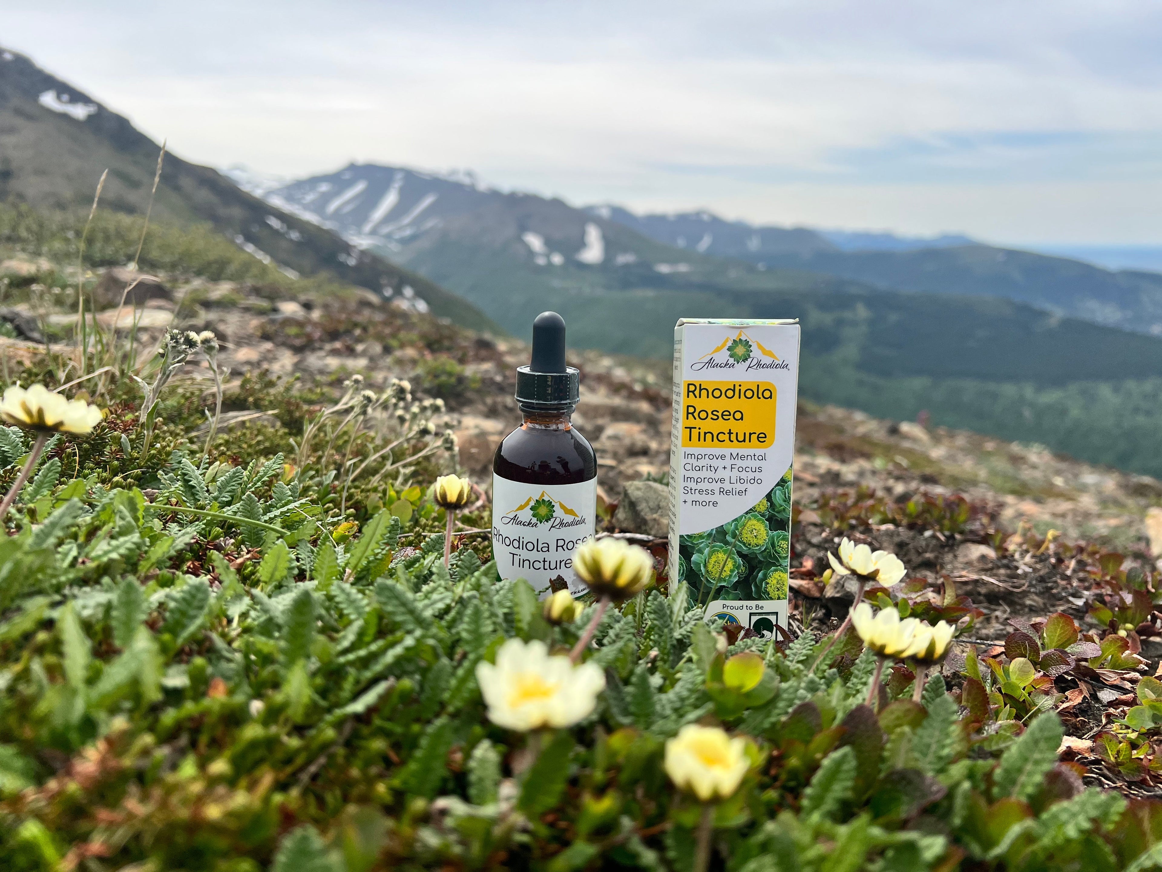 Rhodiola Rosea Tincture – Natural Stress & Energy Support | Avrrio