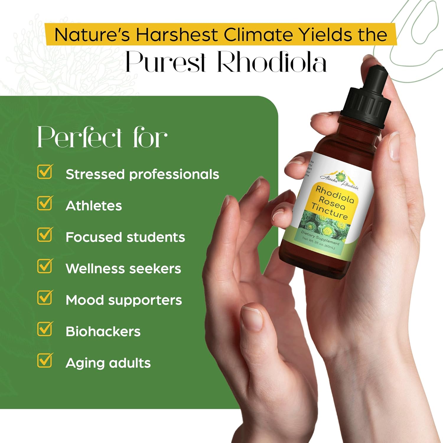 Rhodiola Rosea Tincture – Natural Energy & Focus Support | Avrrio
