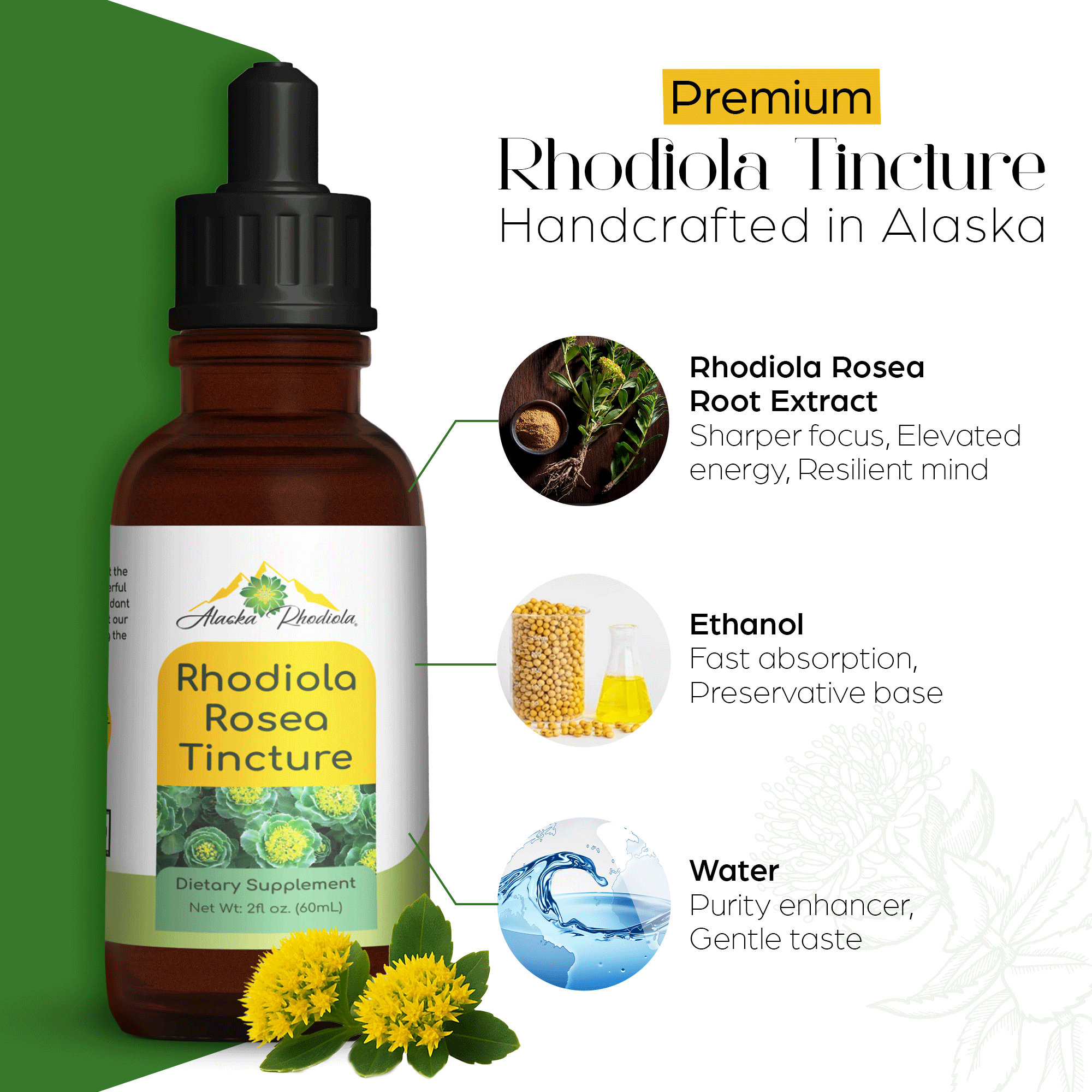 Rhodiola Rosea Tincture – Natural Stress & Energy Support | Avrrio