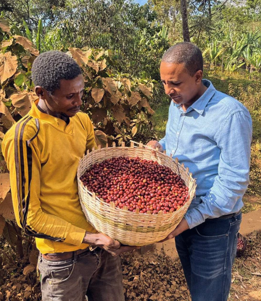 Ethiopia Gedeb Huke Natural Coffee – Strawberry & Tropical Fruit Notes